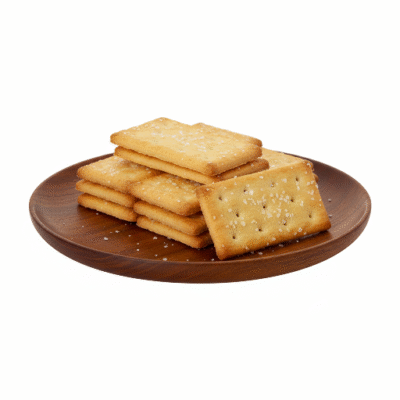 SALT BISCUIT